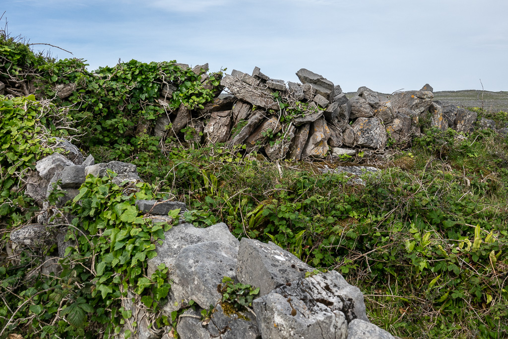 Aron Isles, Path to Dun Aengus (Ancient Fortress)