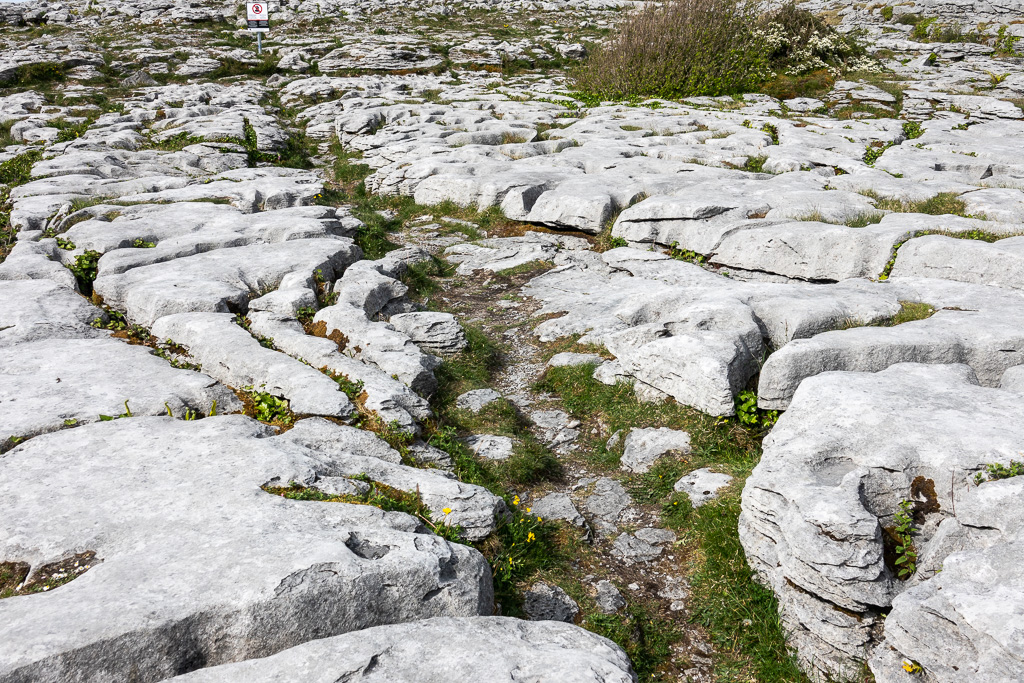 Carboniferous limestone.