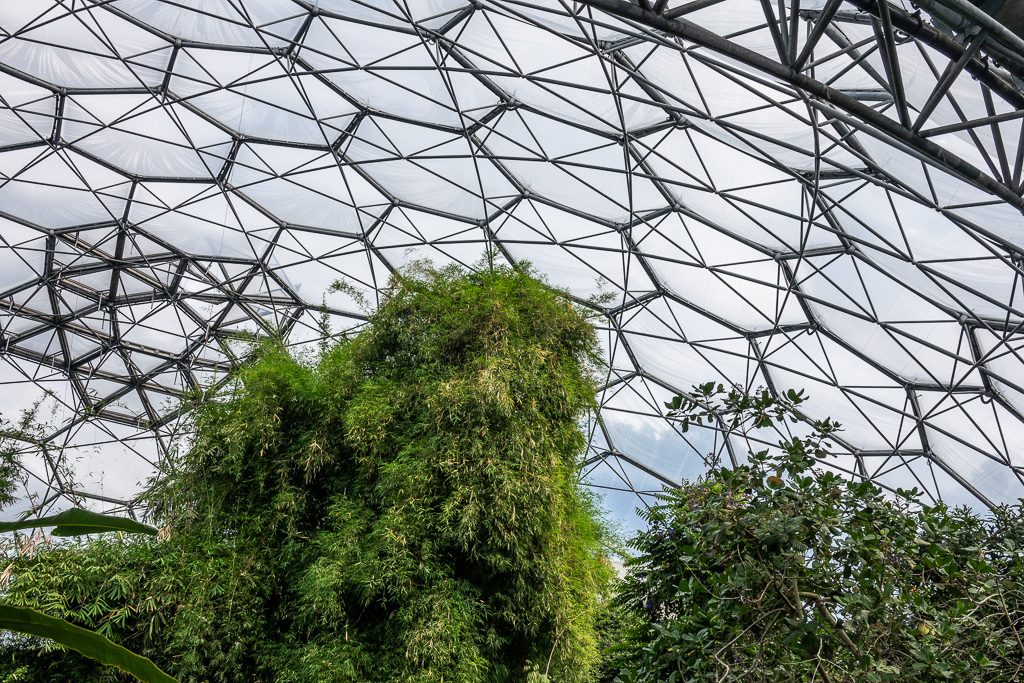 Inside Biodome