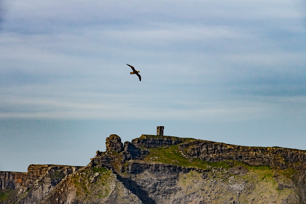 Obrien's Tower, Cliffs of Moher