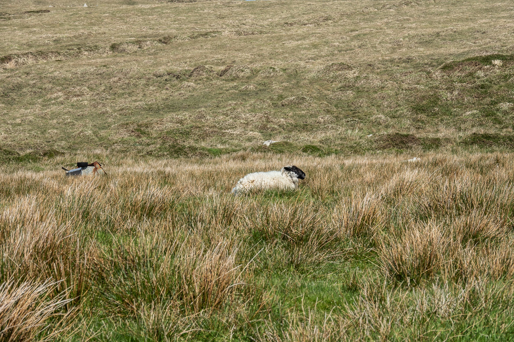 HIke on Valentia