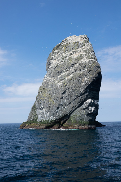 Rocky islands with large colony of sea birds