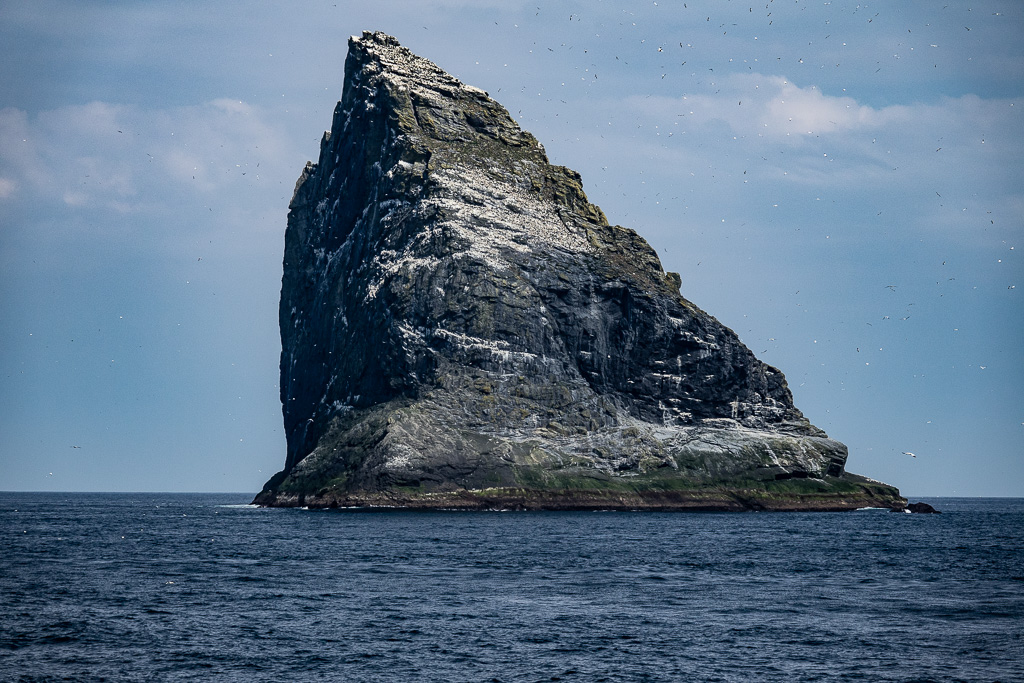 Rocky islands with large colony of sea birds