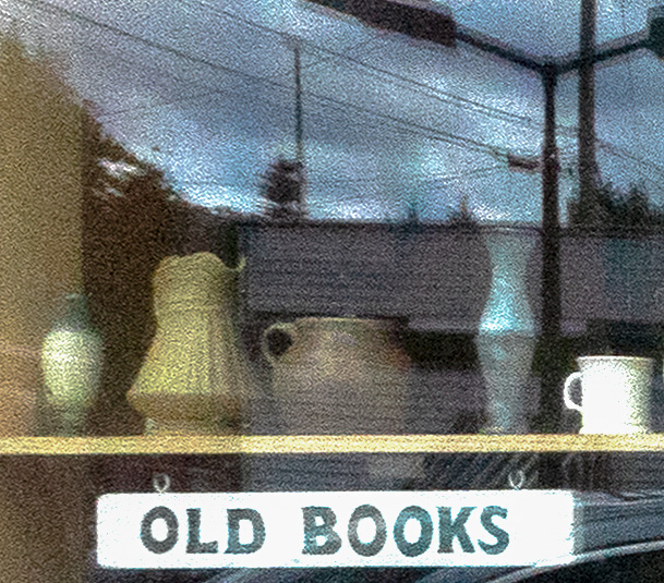 Old Book window