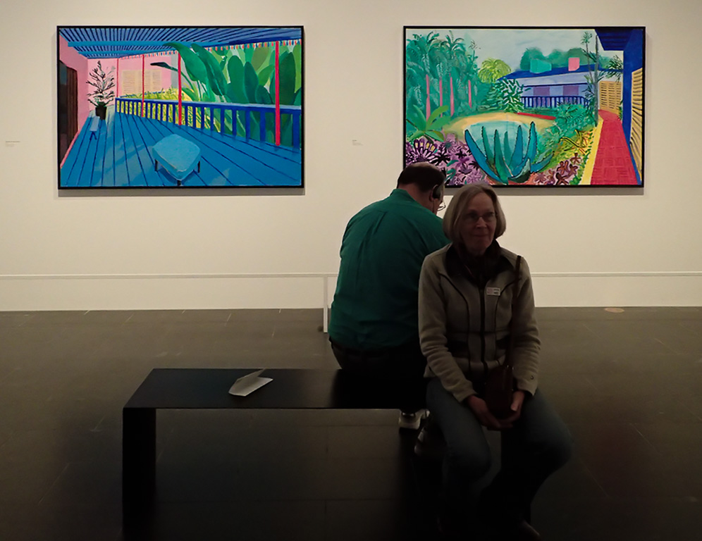 Met. Museum-Hockney-7