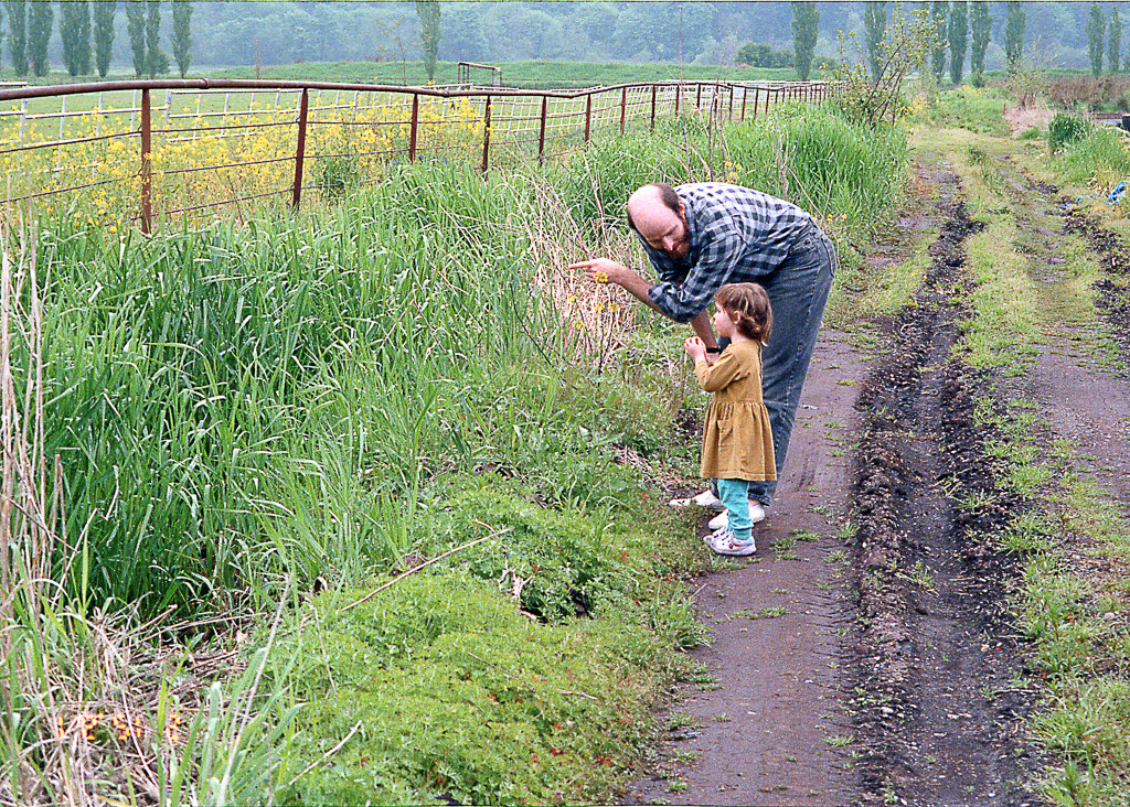 Father and Daughter (ii)