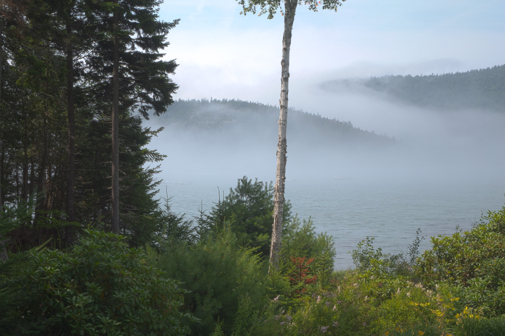 Morning Fog at Northwest Harbor