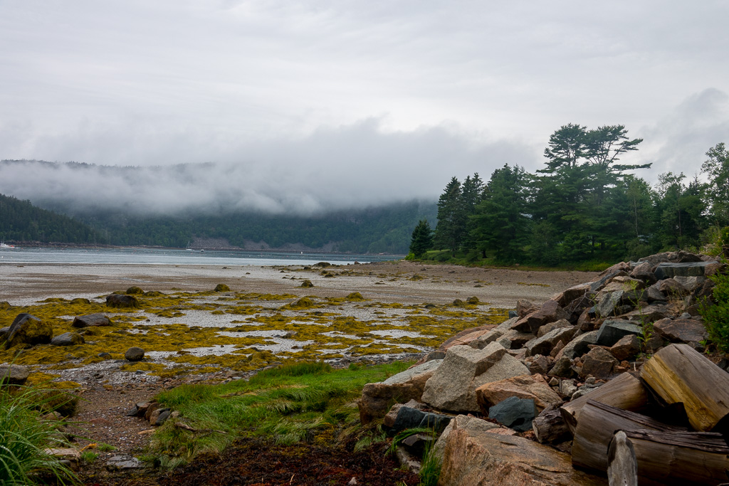 Morning Fog View from "Ebb Tide"