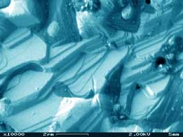 Electron Microscopy picture of AuSi eutectic alloy surface